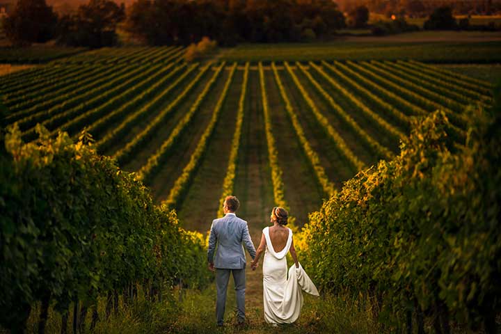 Guida completa per organizzare un perfetto matrimonio in vigna